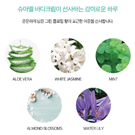Suamel - Botalab Body Cream (보타랩 슈아멜 바디크림) – KATE AVE